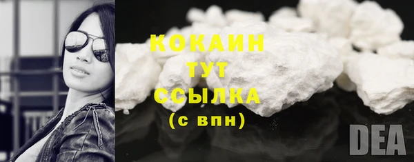 соль ск Козловка