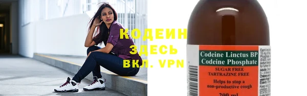 соль ск Козловка