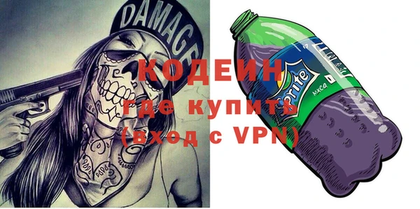 соль ск Козловка