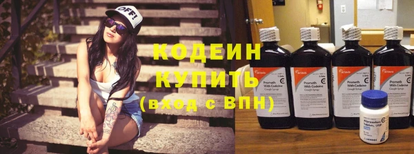 соль ск Козловка