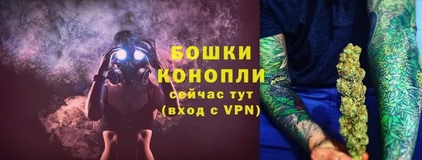 соль ск Козловка